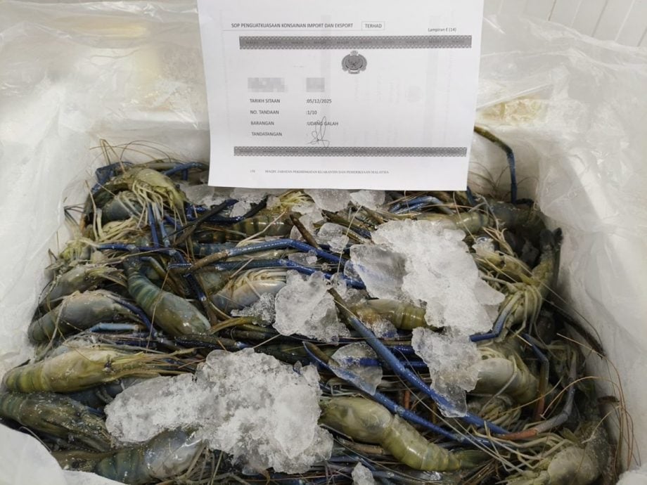 (大上马)充公海鲜和蔬菜