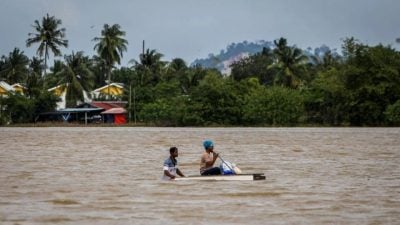 上月大水灾影响MADA农田  损失估计达2000万令吉