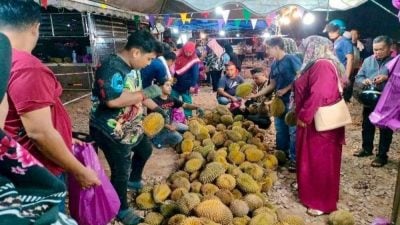 免费送榴梿给孕妇   商贩这么做的原因是…