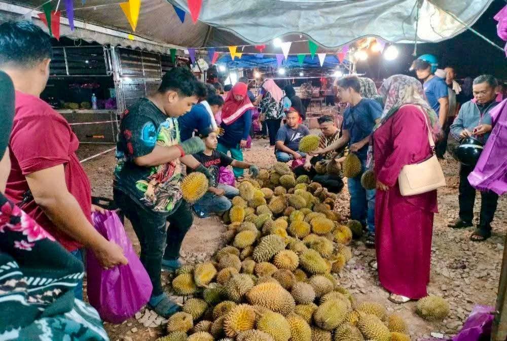 (大北马)免费送榴梿给孕妇 商贩这么做的原因是...