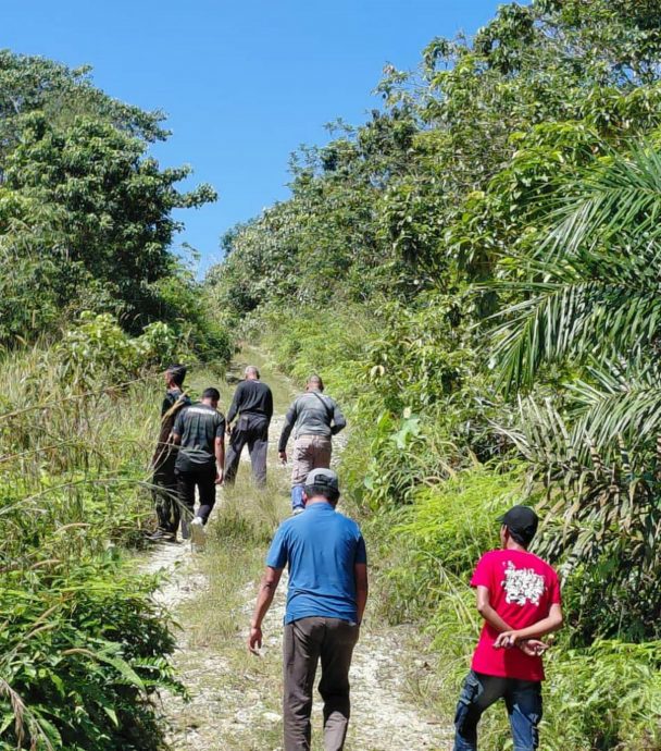 （大北马）动保局已展开行动，未发现任何老虎踪迹，黄佳祯吁当地居民提高警惕