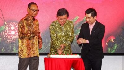 成立半世纪实力大跃进   曹观友：PDC规模达数十亿令吉