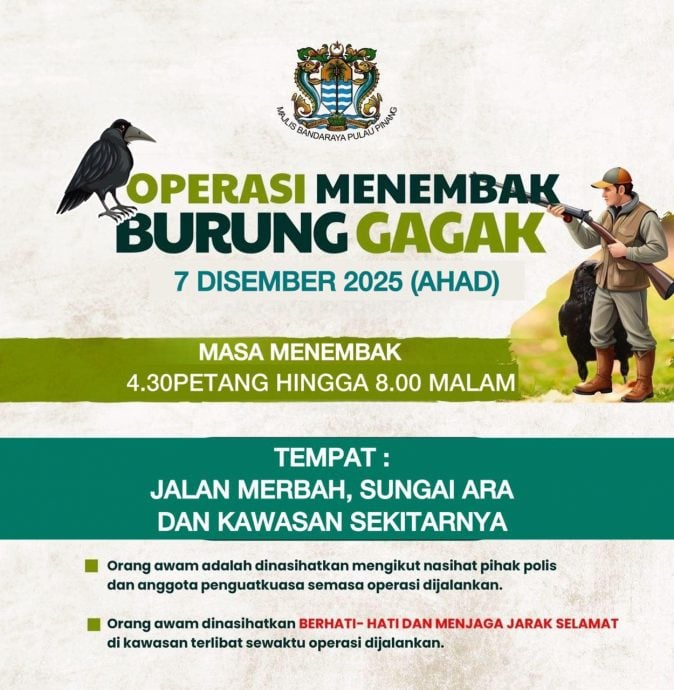 (大北马)新港区今日射杀乌鸦 民众受促注意