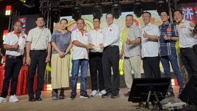 林冠英：接受选民看法   “为民发声将向首相反映”