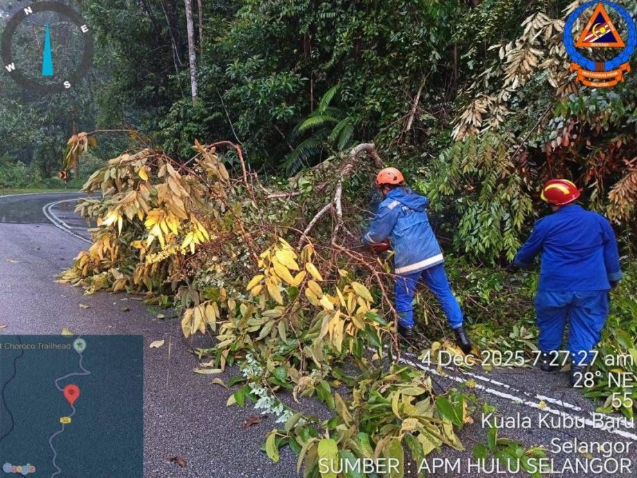 （大都会）乌雪连日发生3宗树倒和5宗土崩事故