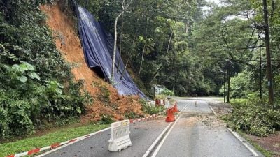 乌雪两天遇3树倒5土崩  民防部队紧急戒备