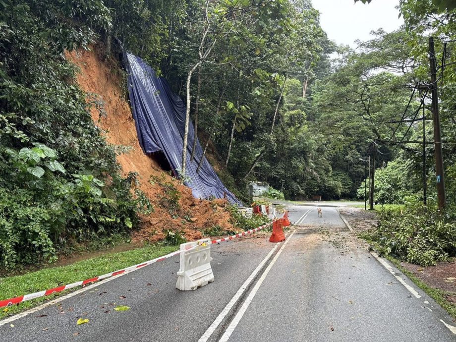 （大都会）乌雪连日发生3宗树倒和5宗土崩事故