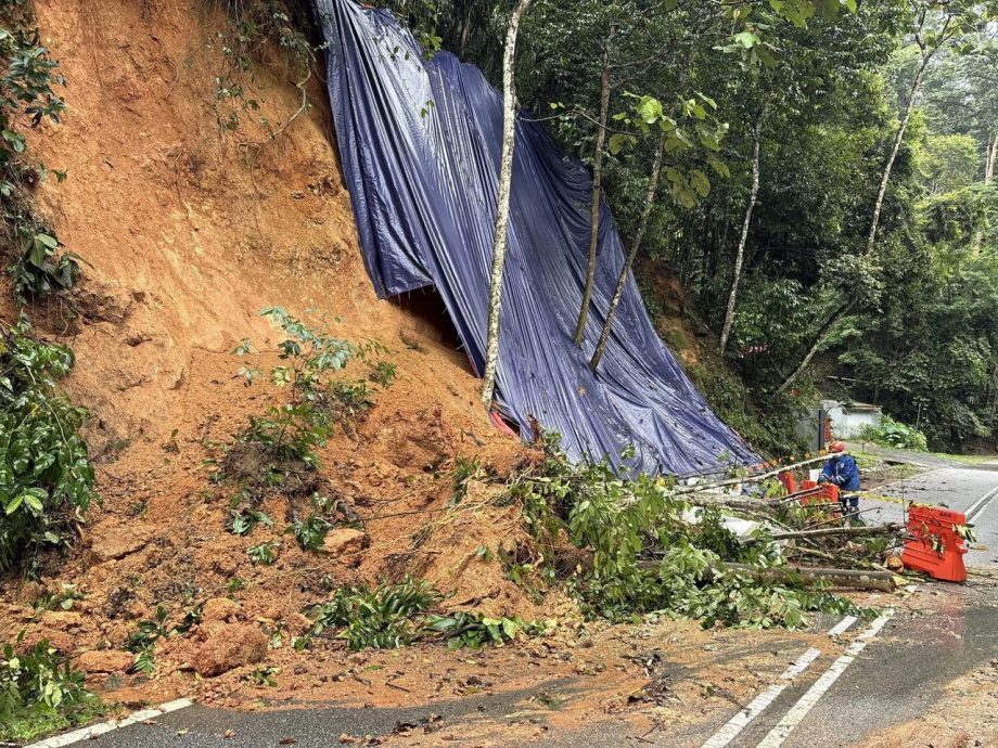 （大都会）乌雪连日发生3宗树倒和5宗土崩事故