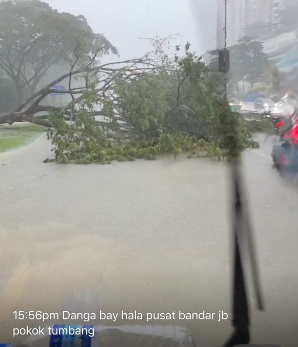 新山午后雷雨酿闪电水灾   道路积水 树倒 活动舞台坍塌