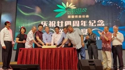 林新海吁政府租借森林局土地    鼓励年轻人回乡推动经济