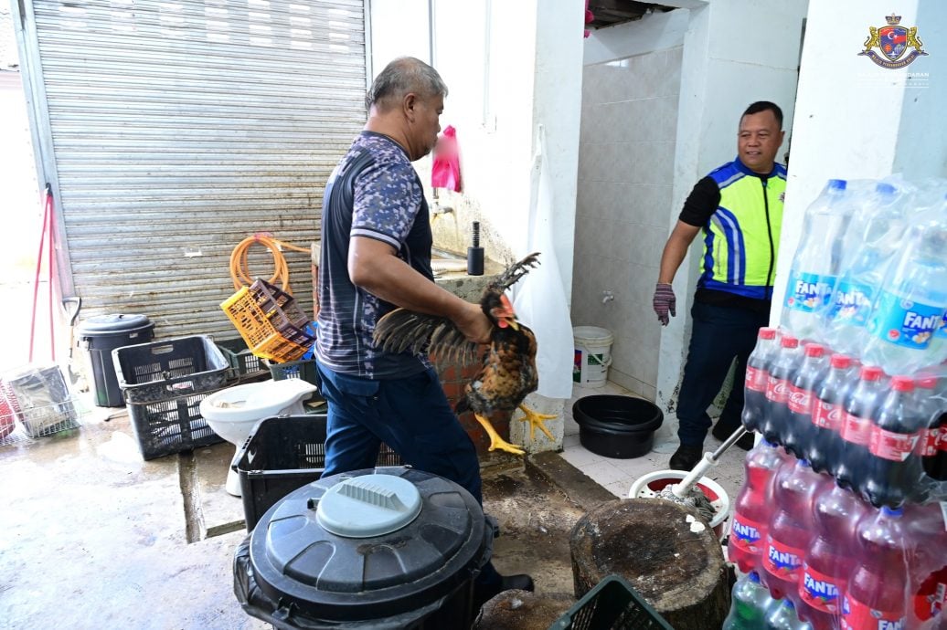 古来扫荡无牌商铺   7店铺被查封14人落网