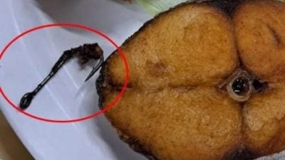 妇女吃鱼鱼钩刺伤嘴 店家道歉赔偿