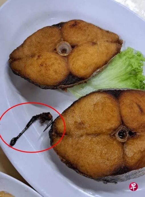 (已签发)柔:狮城二三事:妇女吃鱼鱼钩刺伤嘴 店家道歉赔偿