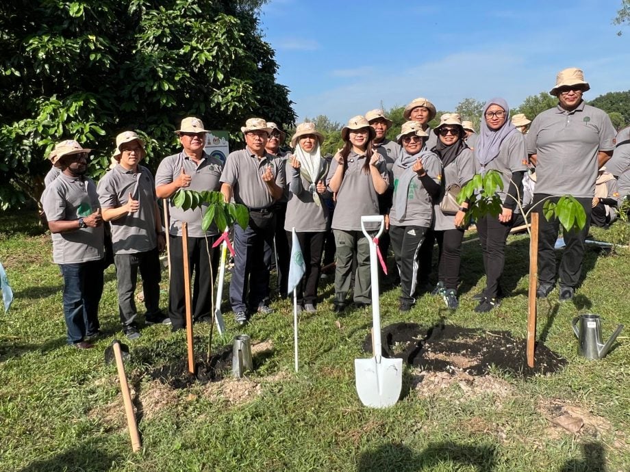（早报可头）大都会：嘉玛莉亚宣布明年种树目标