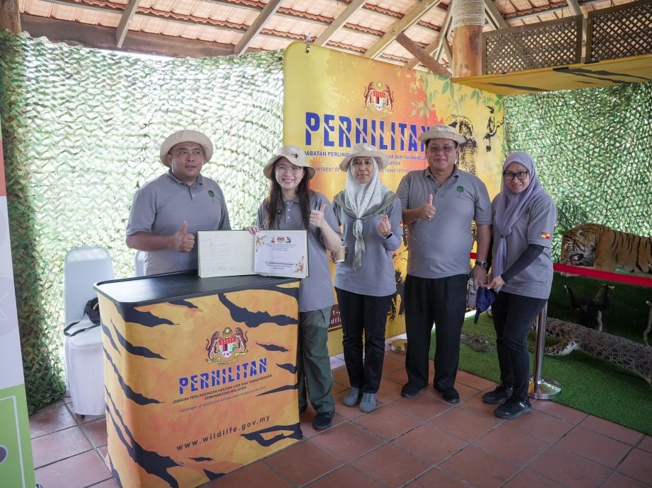 （早报可头）大都会：嘉玛莉亚宣布明年种树目标