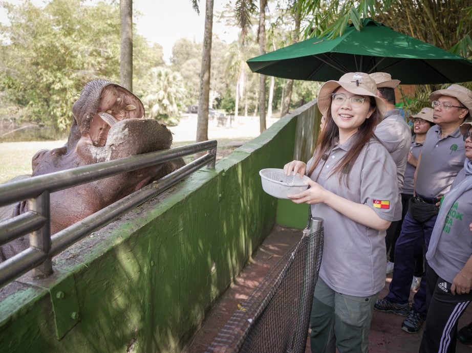 （早报可头）大都会：嘉玛莉亚宣布明年种树目标