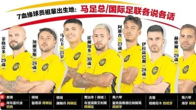 FIFPRO支持大马7名血缘球员  “错不在球员，FIFA判决不公”