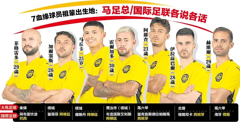 FIFPRO支持大马7名血缘球员  “错不在球员，FIFA判决不公”