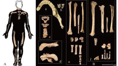 林家豪／百年中国考古路：新世纪的考古学