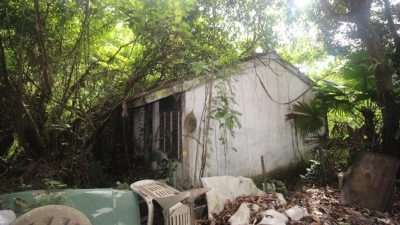 马电讯员工宿舍废置20年    野草丛生窝藏蛇虫鼠蚁