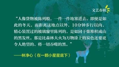 林净心/在一颗小星星底下