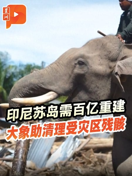 印尼苏岛需百亿重建 洪灾已致961人遇难