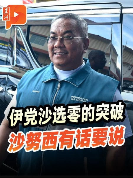 伊党沙选零的突破 沙努西：国盟被看见了