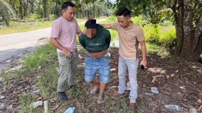 沐胶警油棕园截查．移工拥吸毒被扣查