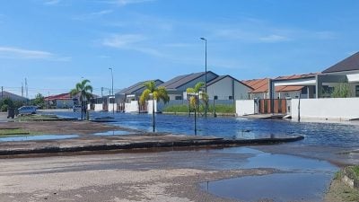 史纳汀积水未退 沟溢满 . 民忧豪雨水患 鳄袭
