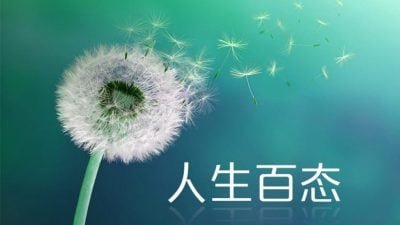 李彩婷 | 如果时光可以倒流