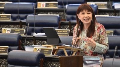 SARA和BUDI 95顺利落实 林慧英：或用大马卡发放更多援助