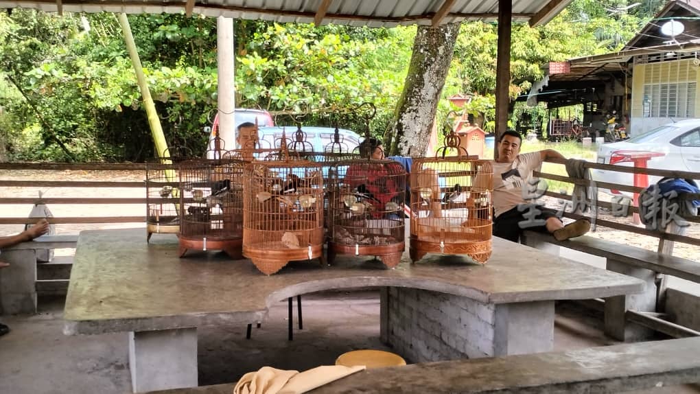 霹：2日见报∕封底主文∕新村美化动起来 （一）|  布先新旧交织 活化小镇新村 