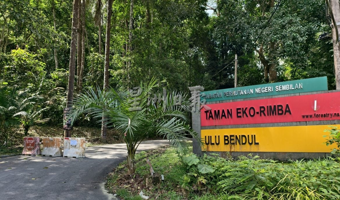 森林局提前封山应对雨季 森州山林与登山路线全面关闭