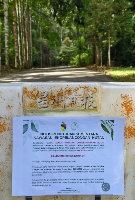 森林局提前封山应对雨季 森州山林与登山路线全面关闭