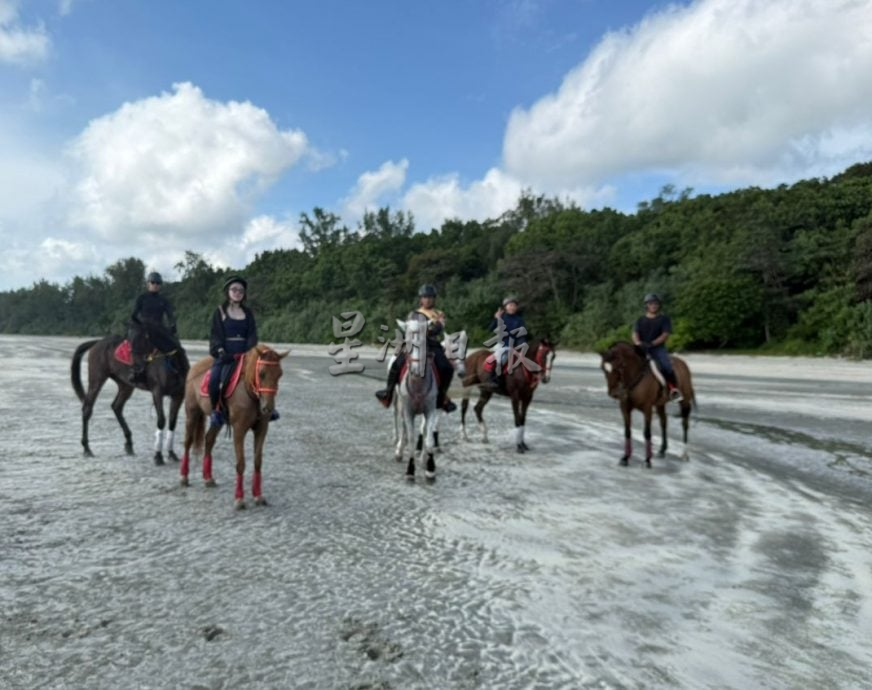 (4/12见报)星角摄/海边体验“牛仔骑马”