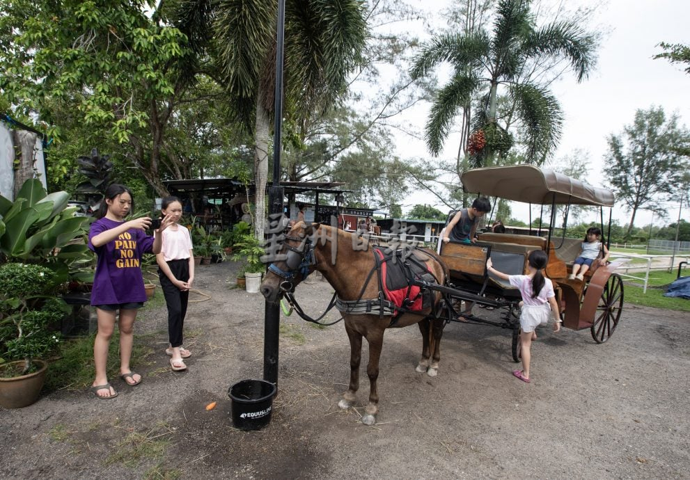 (4/12见报)星角摄/海边体验“牛仔骑马”