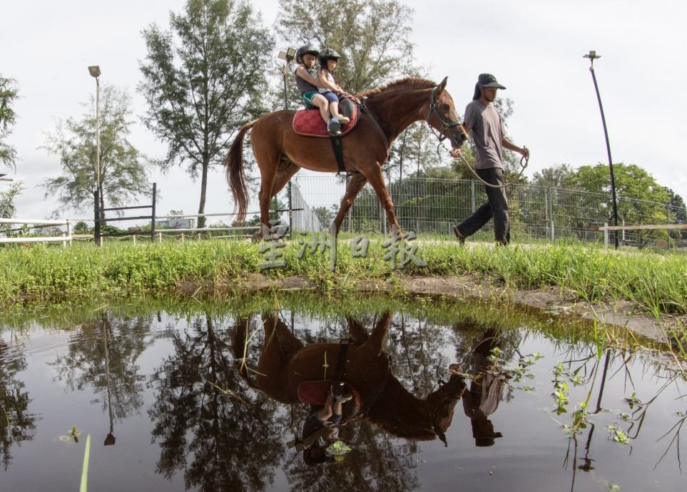 (4/12见报)星角摄/海边体验“牛仔骑马”