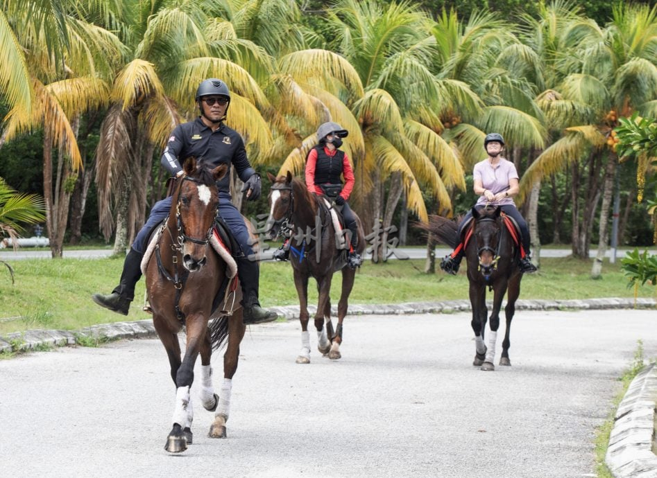 (4/12见报)星角摄/海边体验“牛仔骑马”