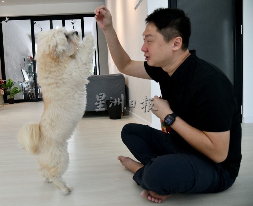 （4/12见报）星洲人VIP/本土手工宠物零食兴起