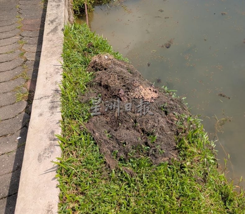 满江红入侵 太平湖西湖失守成红湖