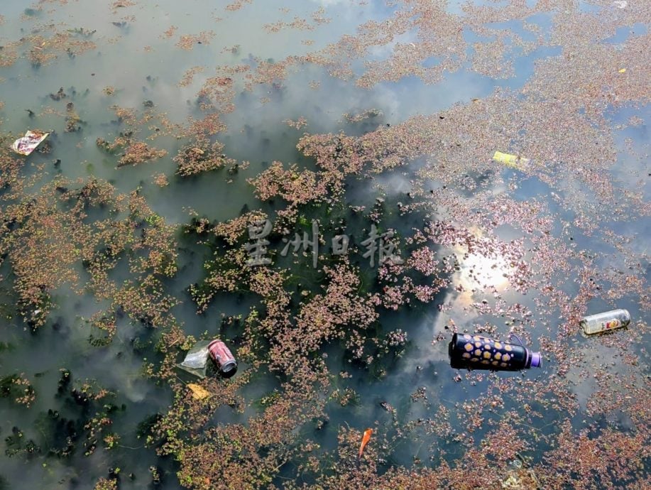 满江红入侵 太平湖西湖失守成红湖