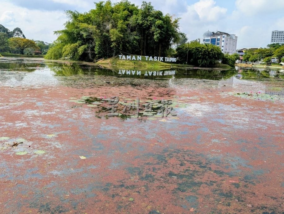 满江红入侵 太平湖西湖失守成红湖
