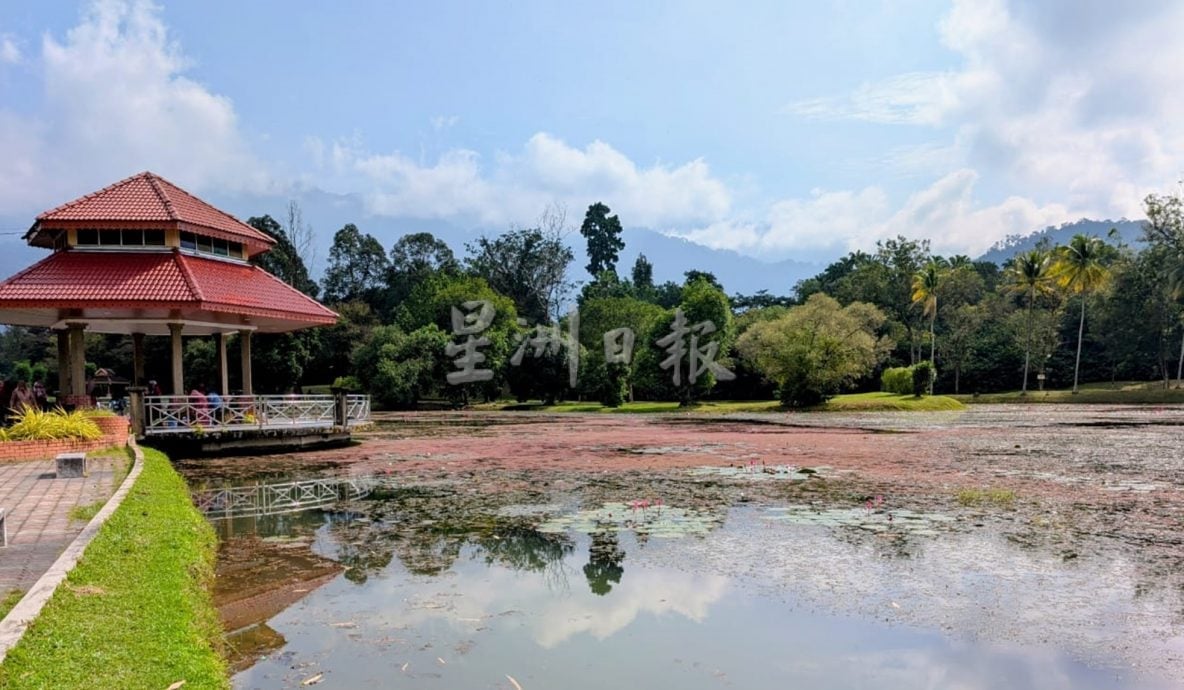 满江红入侵 太平湖西湖失守成红湖