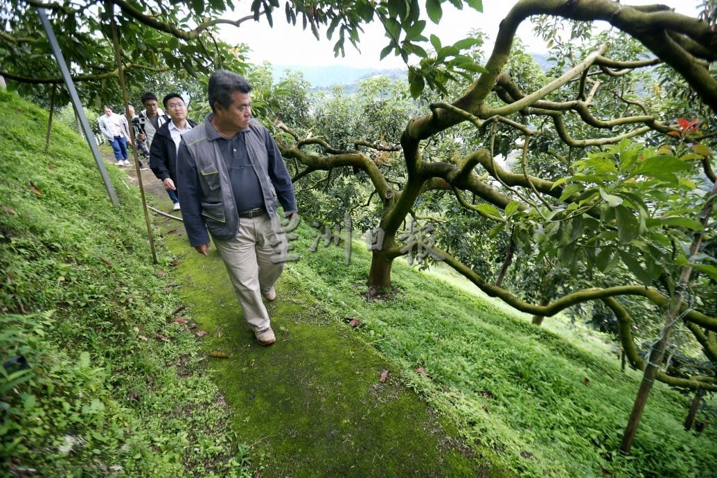 霹★5日见报∕半岛心旅行|金马仑的薄雾、星空与果香  来趟疗愈身心的高原露营