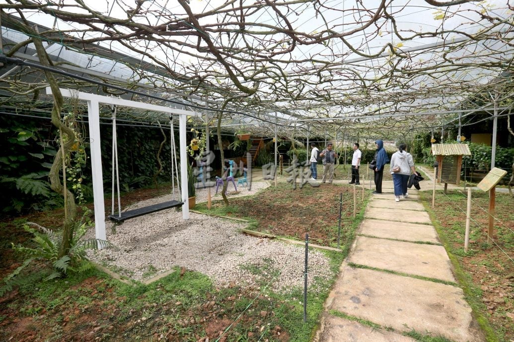 霹★5日见报∕半岛心旅行|金马仑的薄雾、星空与果香  来趟疗愈身心的高原露营