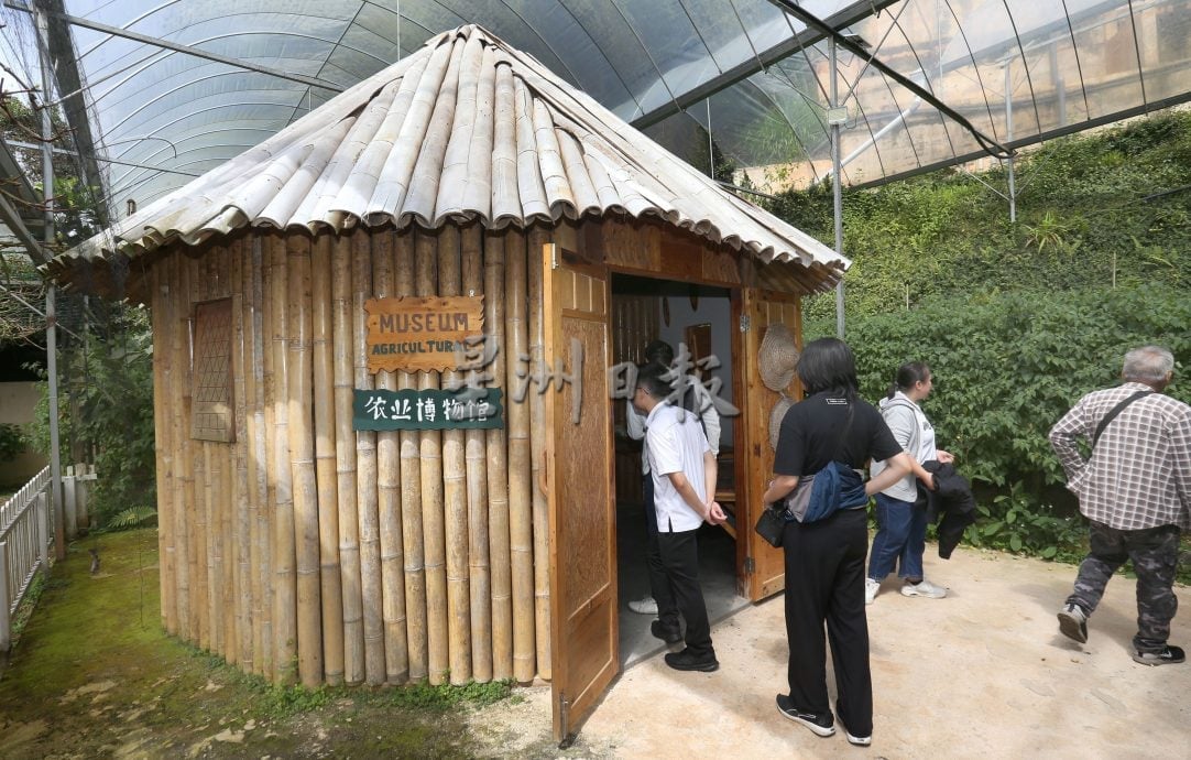 霹★5日见报∕半岛心旅行|金马仑的薄雾、星空与果香  来趟疗愈身心的高原露营
