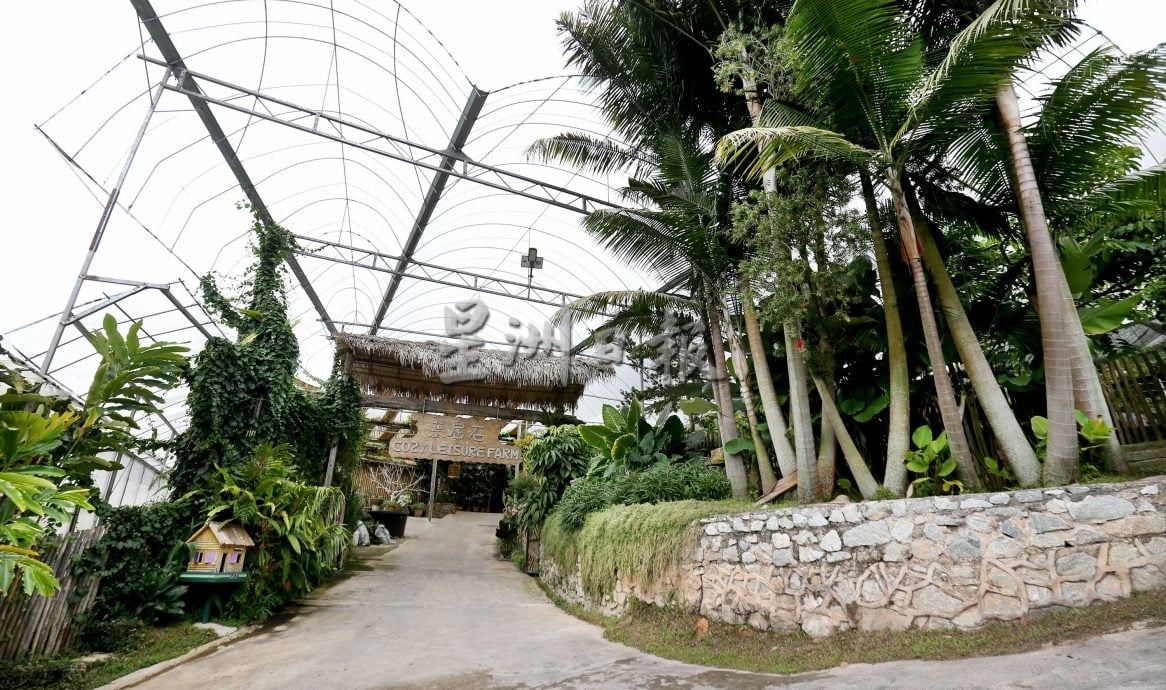 霹★5日见报∕半岛心旅行|金马仑的薄雾、星空与果香  来趟疗愈身心的高原露营