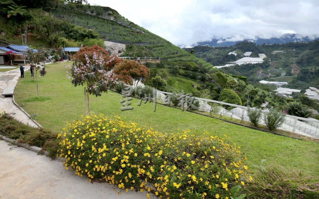 霹★5日见报∕半岛心旅行|金马仑的薄雾、星空与果香  来趟疗愈身心的高原露营