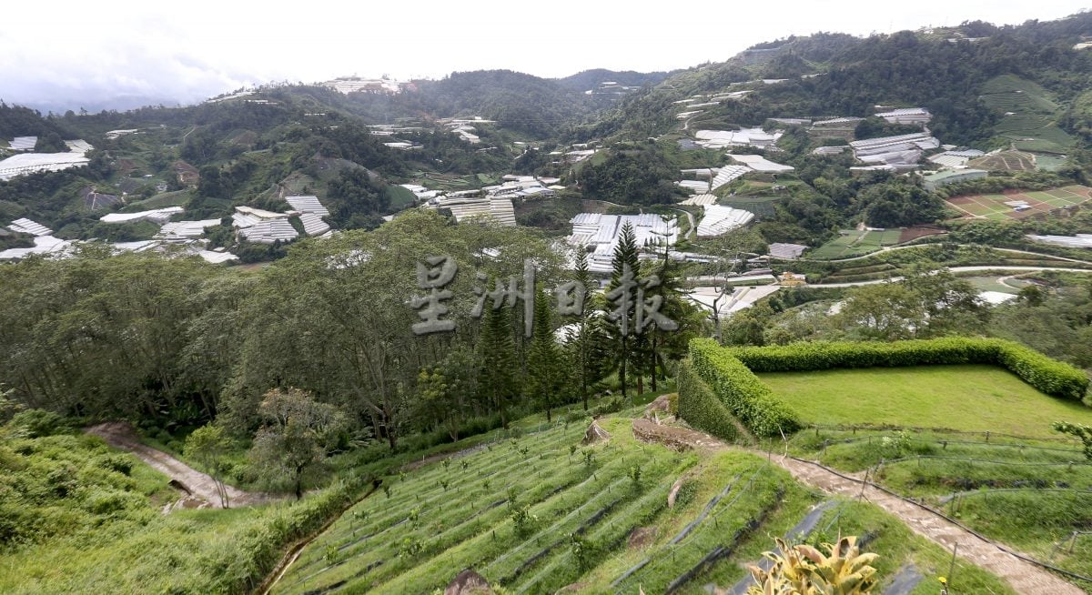 霹★5日见报∕半岛心旅行|金马仑的薄雾、星空与果香  来趟疗愈身心的高原露营