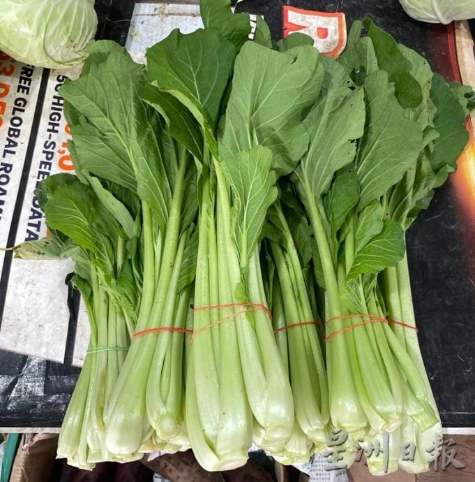 雨季致收成减 菜价“一飞冲天”